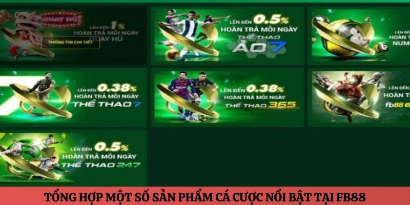 Tổng hợp một số sản phẩm cá cược nổi bật tại FB88