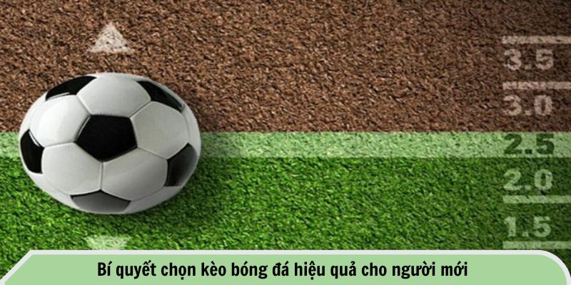 Bí quyết chọn kèo bóng đá hiệu quả cho người mới