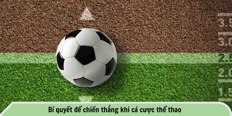 Tổng Hợp Các Kèo Cược Thể Thao Phổ Biến Tại Nhà Cái FB88 3 Bí quyết để chiến thắng khi cá cược thể thao