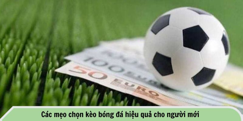 Các mẹo chọn kèo bóng đá hiệu quả cho người mới
