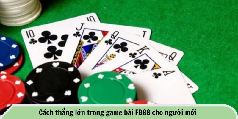 Cách thắng lớn trong game bài FB88 cho người mới