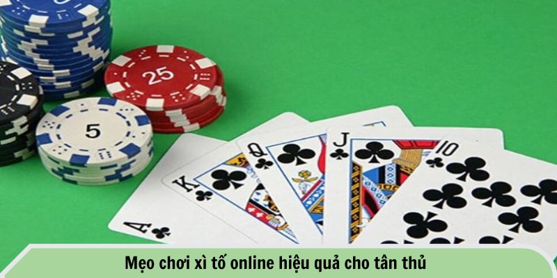 Mẹo chơi xì tố online hiệu quả cho tân thủ