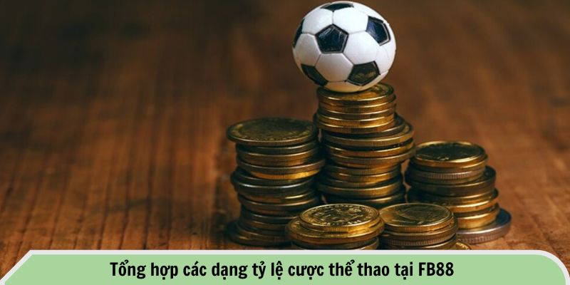 Tỷ Lệ Cược Thể Thao Tại FB88 - Cập Nhập Chuẩn Xác Mỗi Ngày 2 Tổng hợp các dạng tỷ lệ cược thể thao tại FB88
