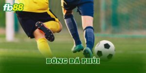 Bóng Đá Phủi
