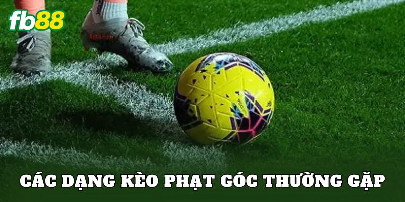 Các dạng kèo phạt góc thường gặp