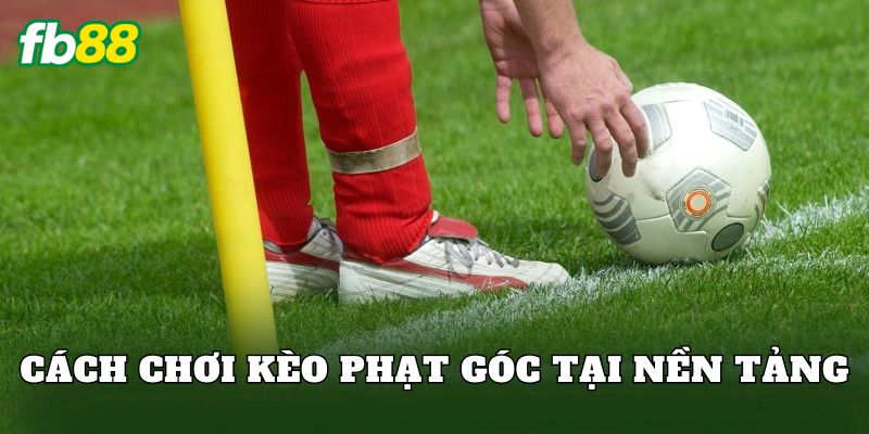 Cách chơi kèo phạt góc tại nền tảng