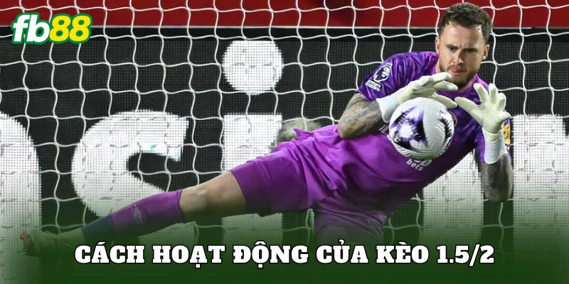 Cách hoạt động của kèo 1.5/2
