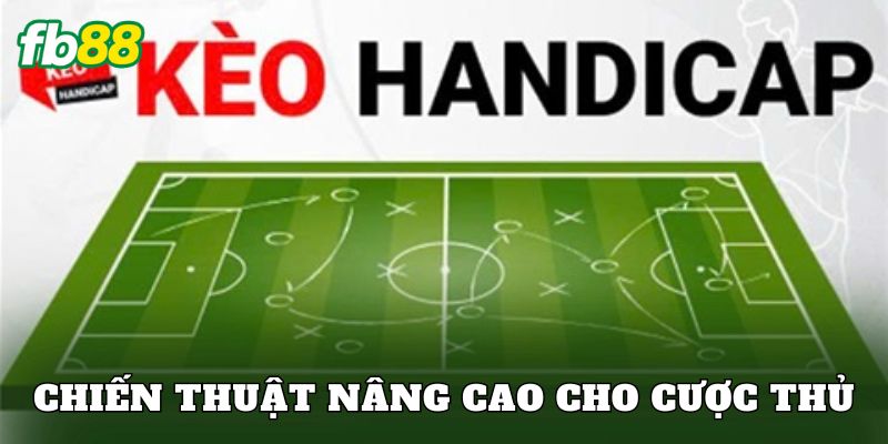 Chiến thuật nâng cao cho cược thủ