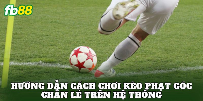 Hướng dẫn cách chơi kèo phạt góc chẵn lẻ trên hệ thống