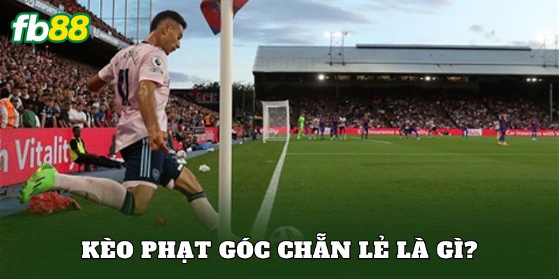 Kèo phạt góc chẵn lẻ là gì?