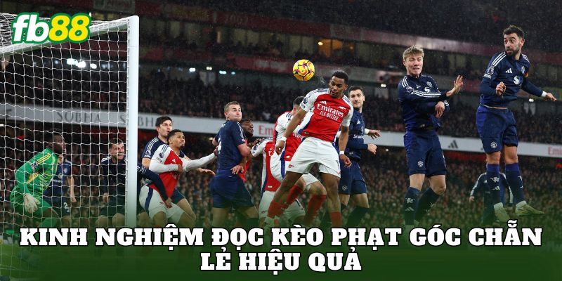 Kinh nghiệm đọc kèo phạt góc chẵn lẻ hiệu quả