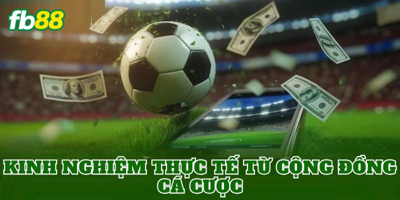 Kinh nghiệm thực tế từ cộng đồng cá cược