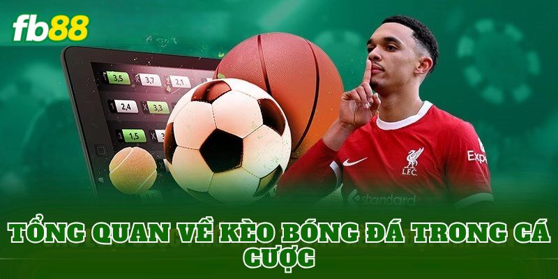 Tổng quan về kèo bóng đá trong cá cược