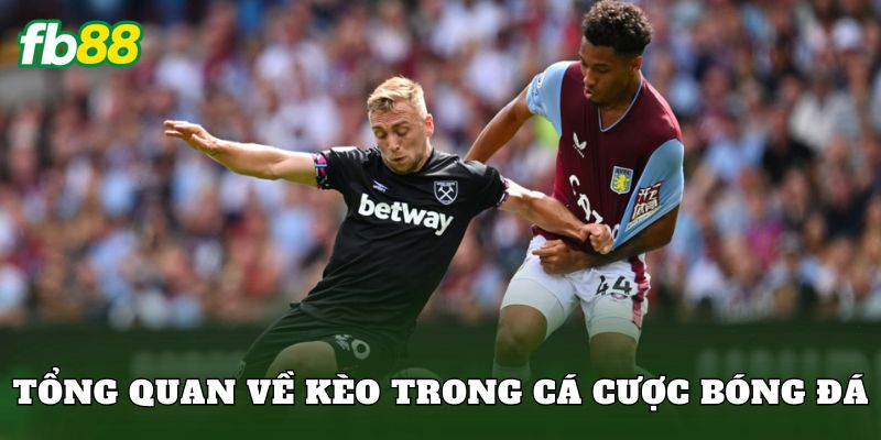 Tổng quan về kèo trong cá cược bóng đá