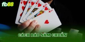 Cách Báo Sâm Chuẩn