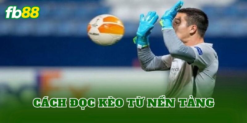 Cách đọc kèo từ nền tảng