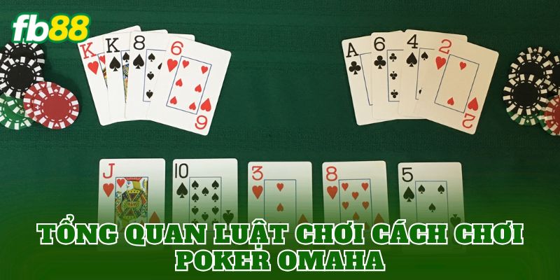 Tổng quan luật chơi cách chơi Poker Omaha