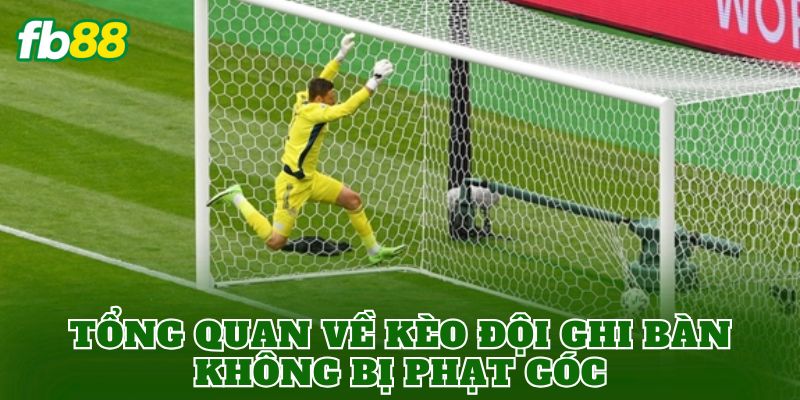 Tổng quan về kèo đội ghi bàn không bị phạt góc