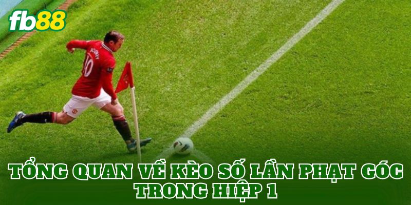 Tổng quan về kèo số lần phạt góc trong hiệp 1