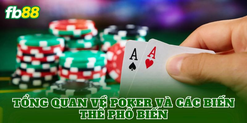 Tổng quan về Poker và các biến thể phổ biến