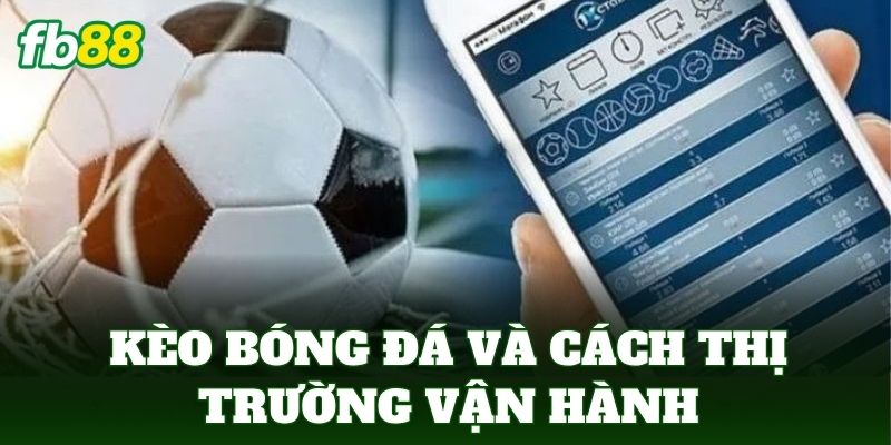Kèo bóng đá và cách thị trường vận hành