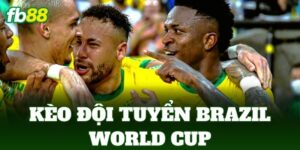 keo doi tuyen brazil world cup