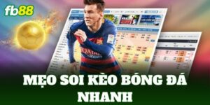 meo soi keo bong da nhanh