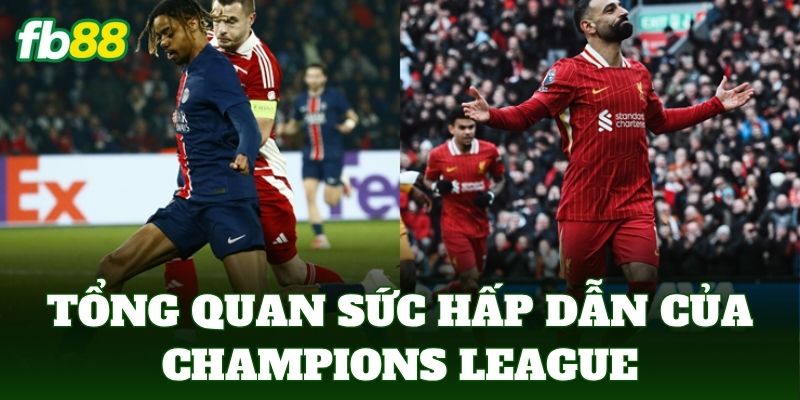 Tổng quan sức hấp dẫn của Champions League