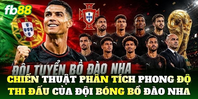 Chiến thuật phân tích phong độ thi đấu của đội bóng Bồ Đào Nha