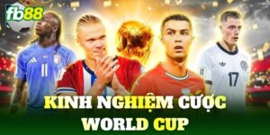 kinh nghiem cuoc world cup