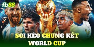 soi keo chung ket world cup