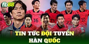 tin tuc doi tuyen han quoc