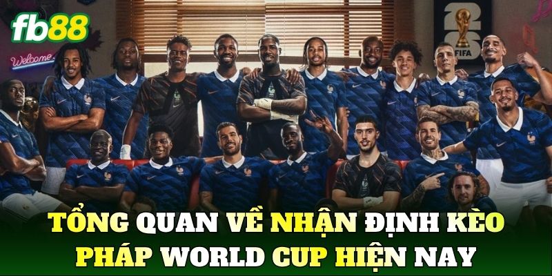 Tổng quan về Nhận Định Kèo Pháp World Cup hiện nay