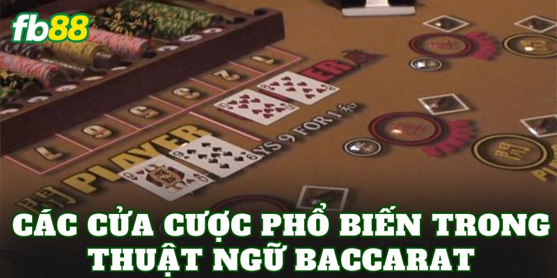 Thuật Ngữ Baccarat: Tổng Hợp Kiến Thức Quan Trọng 2 Các cửa cược phổ biến trong thuật ngữ Baccarat