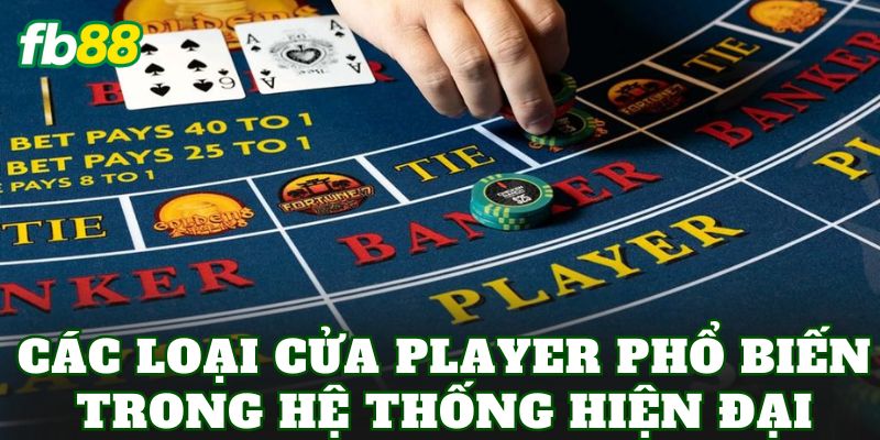 Các loại cửa Player phổ biến trong hệ thống hiện đại