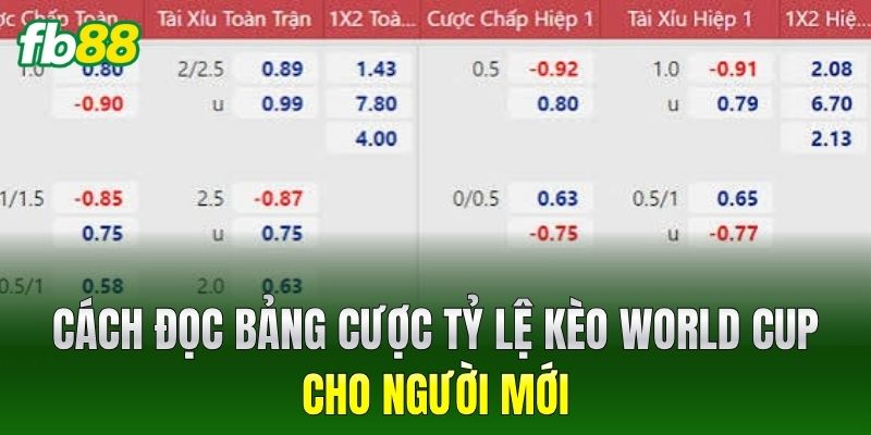 Cách đọc bảng cược Tỷ Lệ Kèo World Cup cho người mới