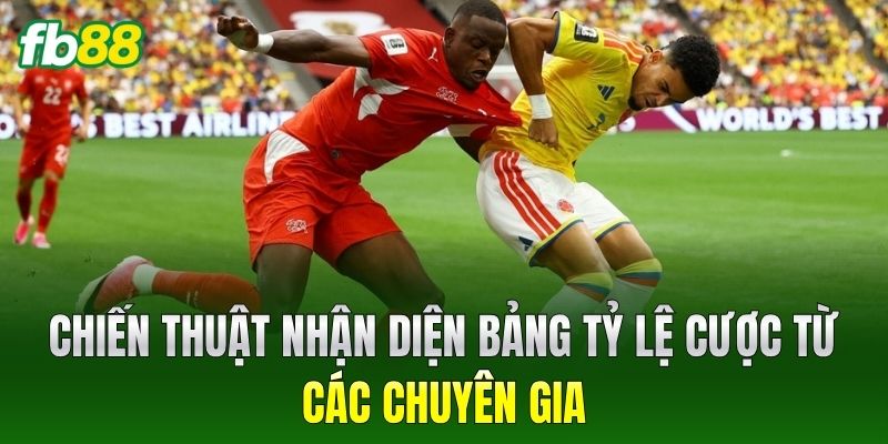 Chiến thuật nhận diện bảng tỷ lệ cược từ các chuyên gia