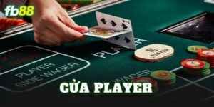 Cửa Player