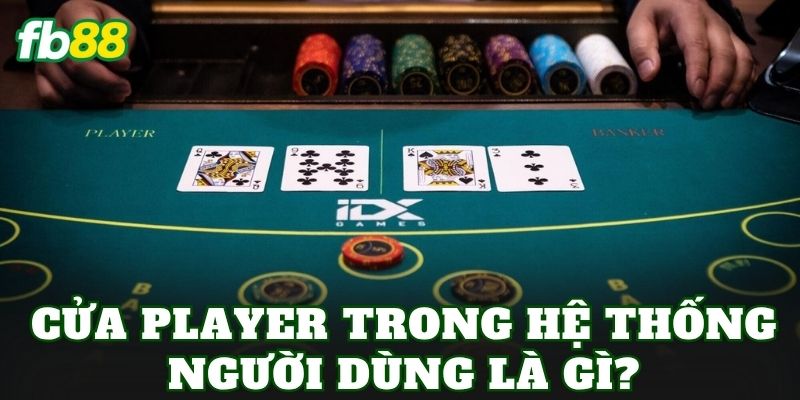 Cửa Player trong hệ thống người dùng là gì?