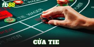Cửa Tie