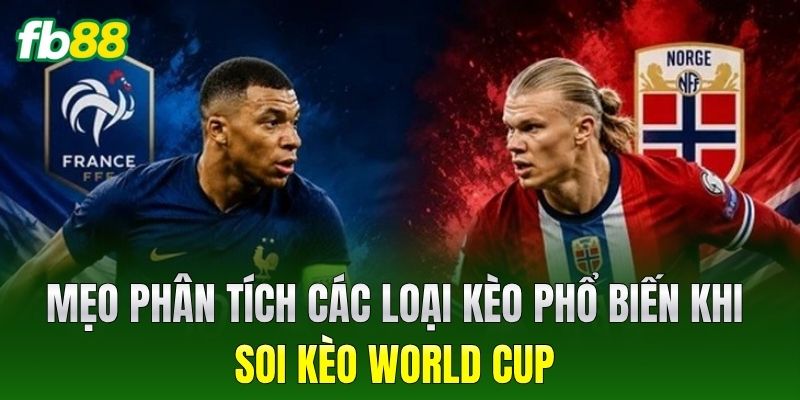 Mẹo phân tích các loại kèo phổ biến khi Soi Kèo World Cup