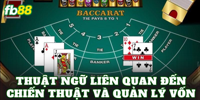 Thuật Ngữ Baccarat: Tổng Hợp Kiến Thức Quan Trọng 3 Thuật ngữ liên quan đến chiến thuật và quản lý vốn