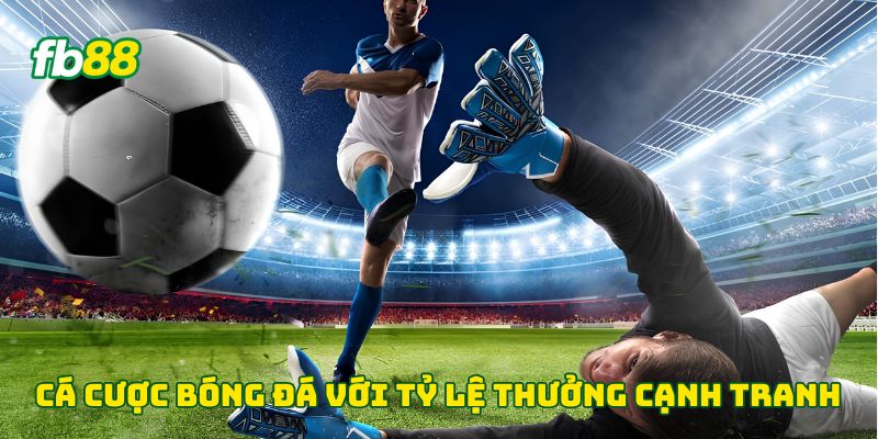 Cá cược bóng đá với tỷ lệ thưởng cạnh tranh 