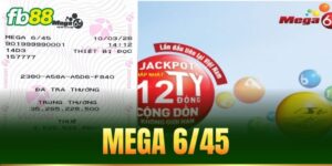 mega 6 45