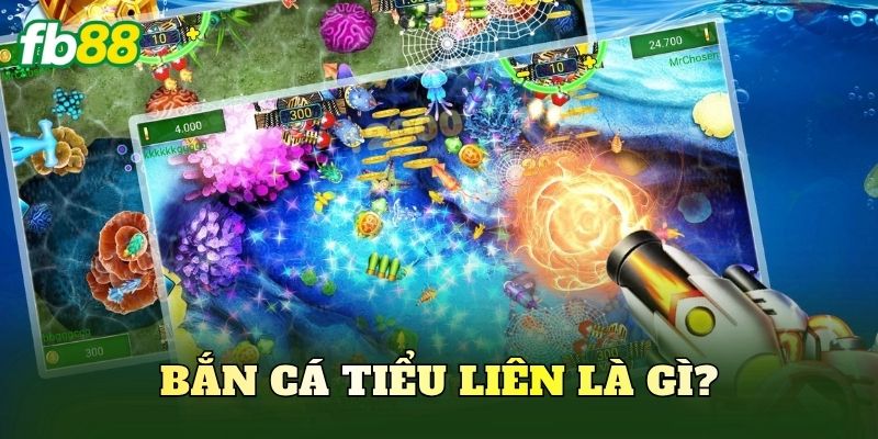 Bắn cá tiểu liên là gì?