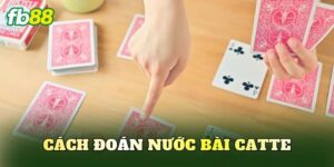 Cách Đoán Nước Bài Catte