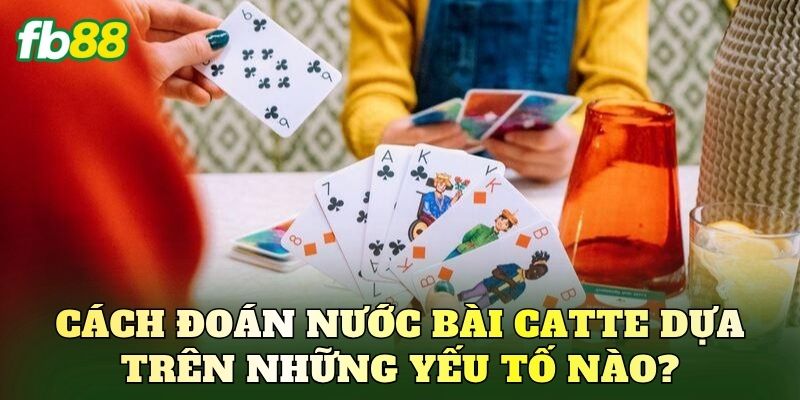 Cách đoán nước bài Catte dựa trên những yếu tố nào?