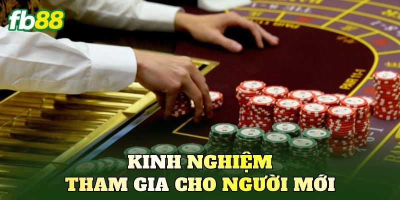 Kinh nghiệm tham gia cho người mới