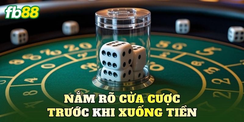 Nắm rõ cửa cược trước khi xuống tiền
