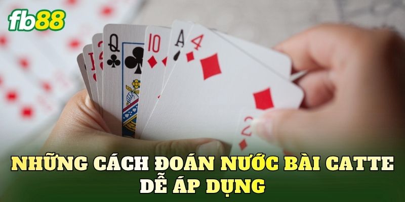 Những cách đoán nước bài Catte dễ áp dụng